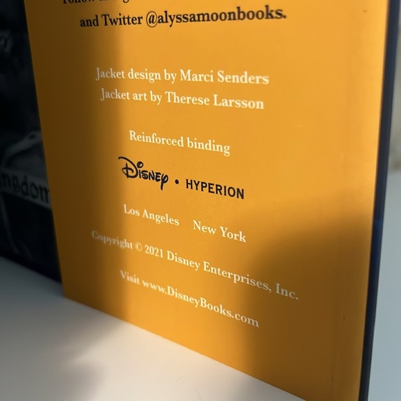 Delphine and The Silver Needle by Alyssa Moon Hardcover Novel - Picture 7 of 7